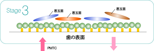 ステージ3